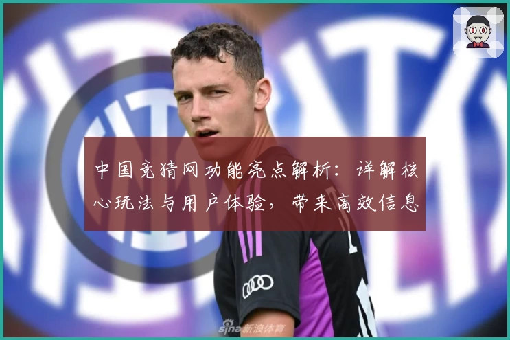 中国竞猜网功能亮点解析：详解核心玩法与用户体验，带来高效信息服务新体验