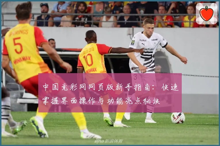 中国竞彩网网页版新手指南：快速掌握界面操作与功能亮点秘诀
