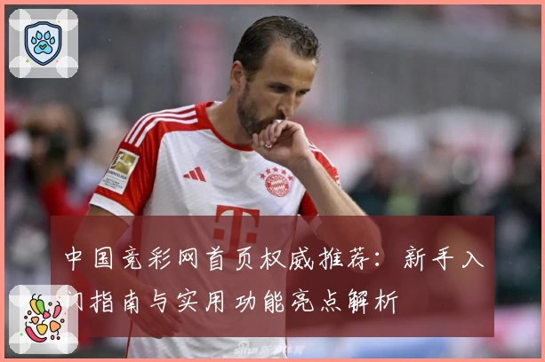 中国竞彩网首页权威推荐：新手入门指南与实用功能亮点解析