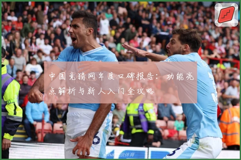 中国竞猜网年度口碑报告:功能亮点解析与新人入门全攻略