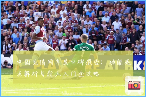 中国竞猜网年度口碑报告：功能亮点解析与新人入门全攻略